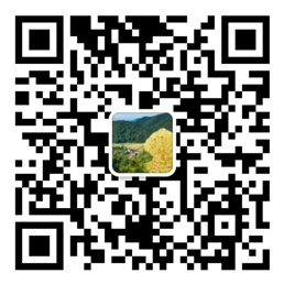 多彩网手机版